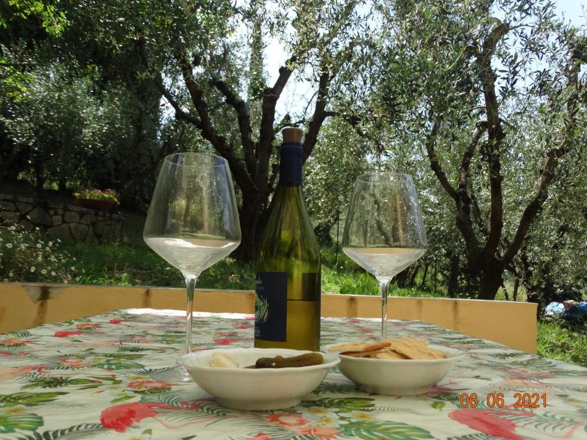 Poggio House, Tranquillita E Comfort Nella Natura San Casciano in Val di Pesa Buitenkant foto