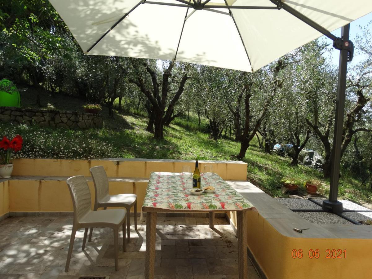 Poggio House, Tranquillita E Comfort Nella Natura San Casciano in Val di Pesa Buitenkant foto