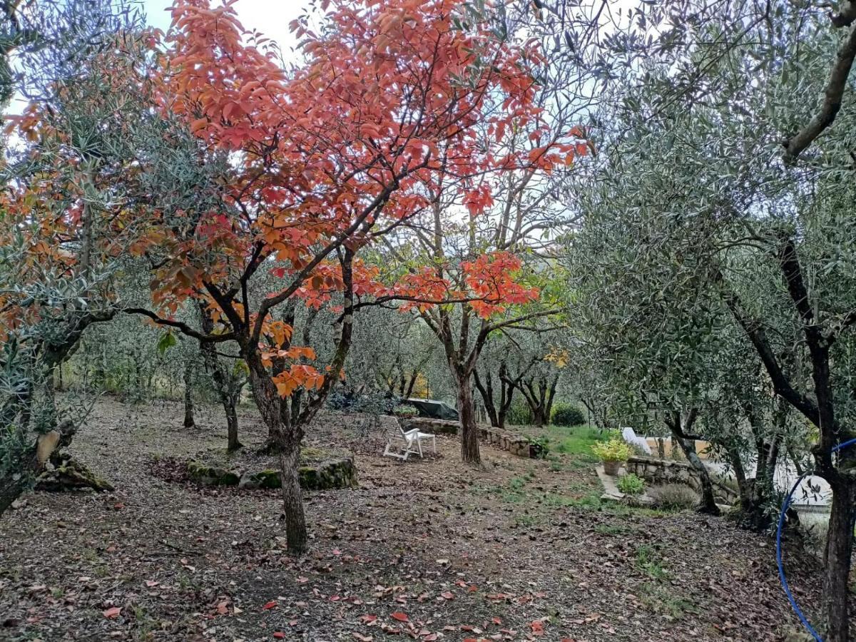 Poggio House, Tranquillita E Comfort Nella Natura San Casciano in Val di Pesa Buitenkant foto