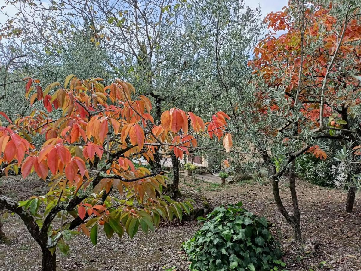 Poggio House, Tranquillita E Comfort Nella Natura San Casciano in Val di Pesa Buitenkant foto